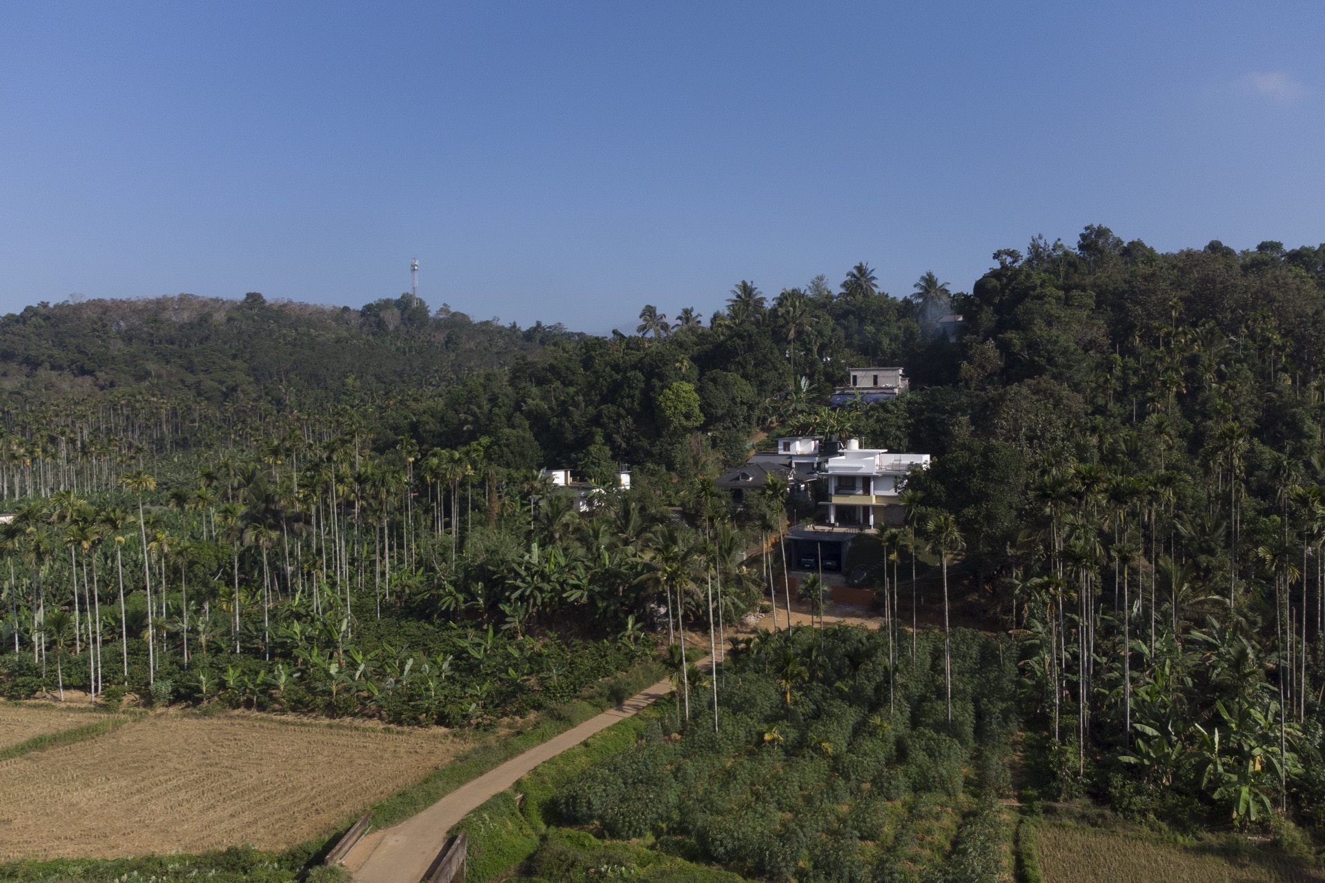 Aerial view of The Big Chill in Wayanad